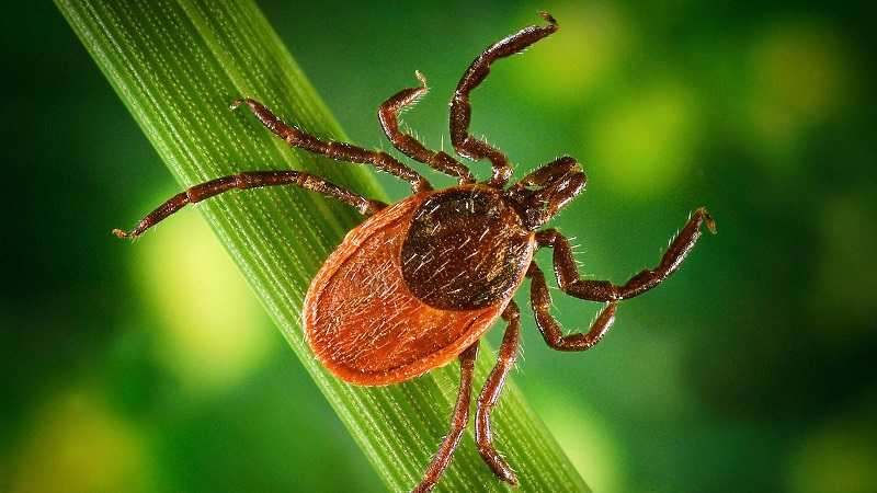 f1670a3f28f9bb25c67e120cb69be078